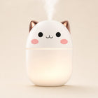 Cat Humidifier