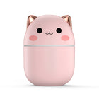 Cat Humidifier
