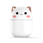 Cat Humidifier